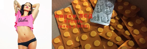 ECSTASY Алзамай