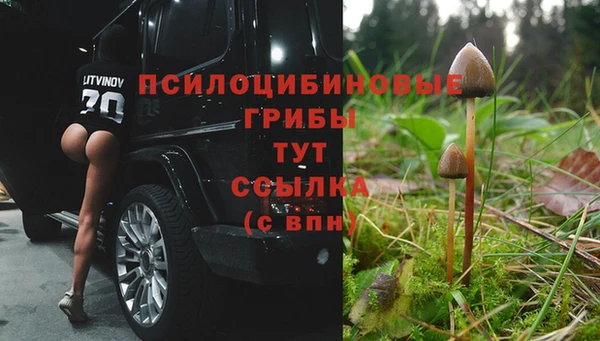 ECSTASY Алзамай